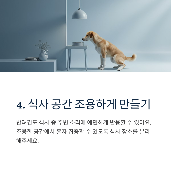 강아지 사료 안먹을 때