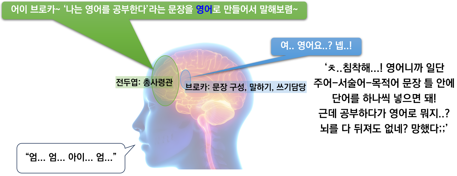 우리의 뇌가 모르는 언어를 구사할 때의 작동 방식