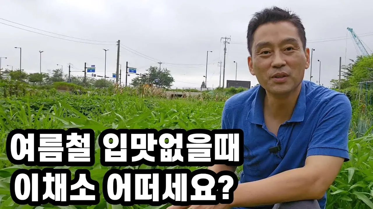 공심채 재배 여름 재배 물 충분 배수 필수_7