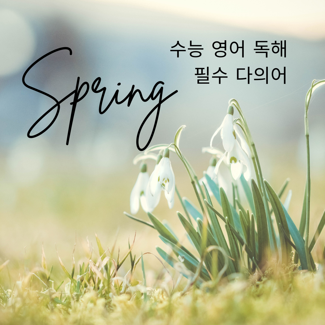 수능 영어 독해 필수 다의어 Spring 뜻과 예문