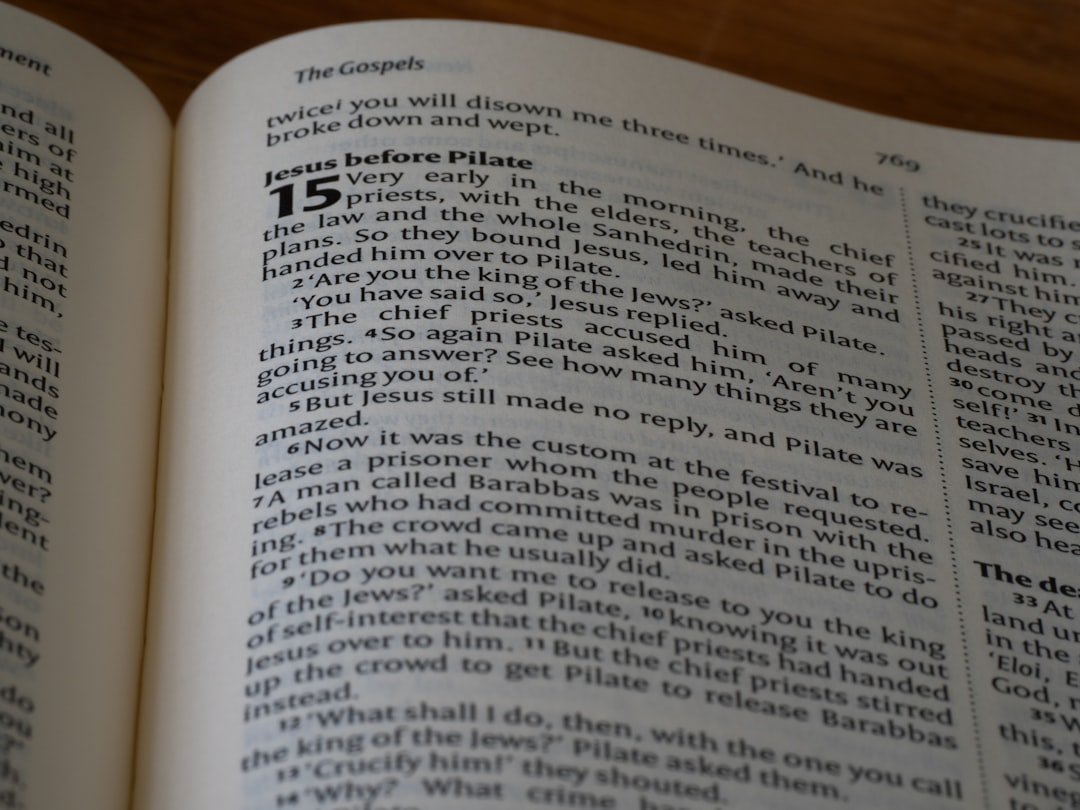 cashback — 페이백의 영어 표현입니다.