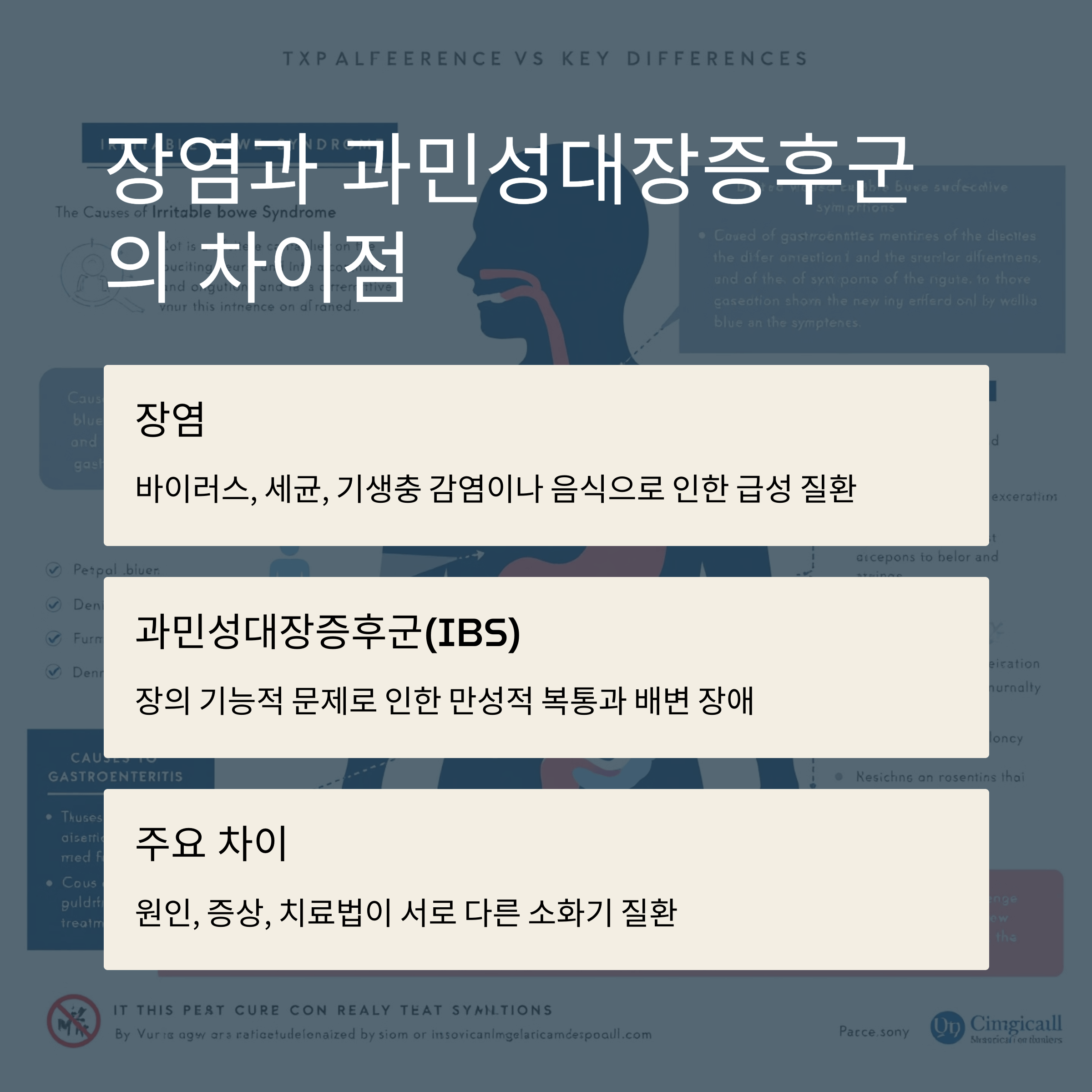 장염과 과민성대장증후군 차이