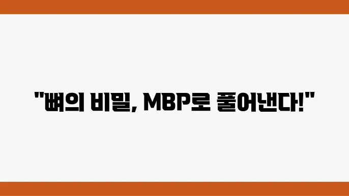 뼈엔엠비피MBP