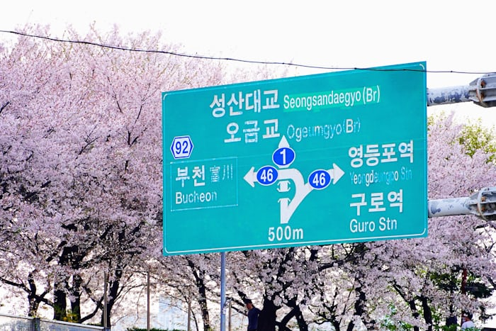 제주도 여행