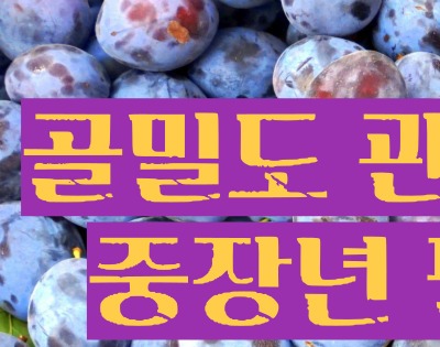 푸룬 건자두 효능 부작용
