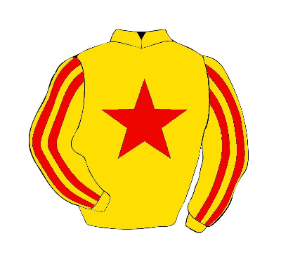 마사일호 경마 게이트별 기수 모자 색상과 마주 복색