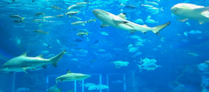 실내 데이트 스팟