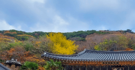 두륜산 케이블카 요금