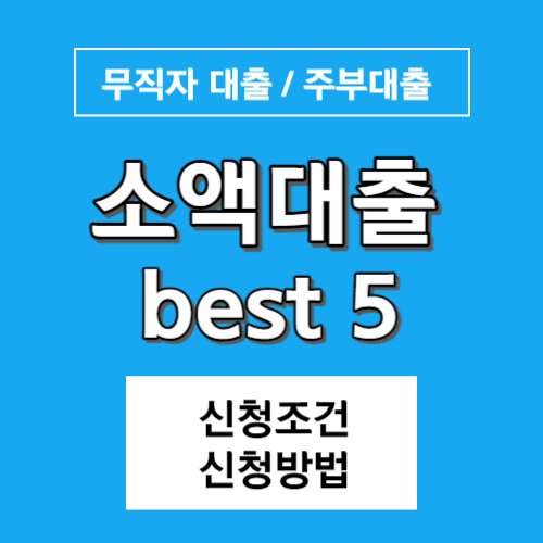 소액대출