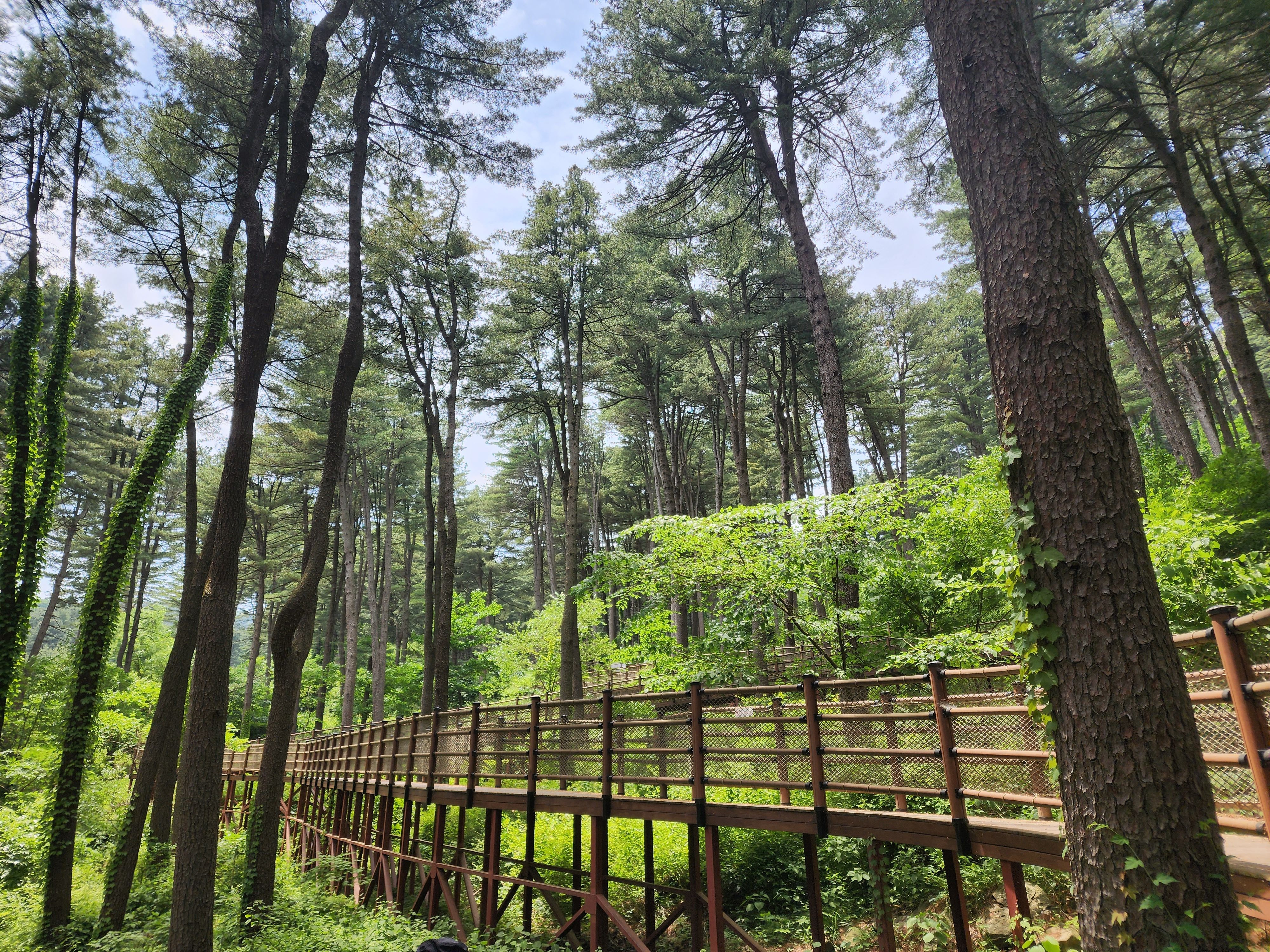 Alt 속성 문제 해결 설명 이미지