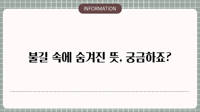 집에불나는꿈 불끄는꿈 자동차불나는꿈 해몽