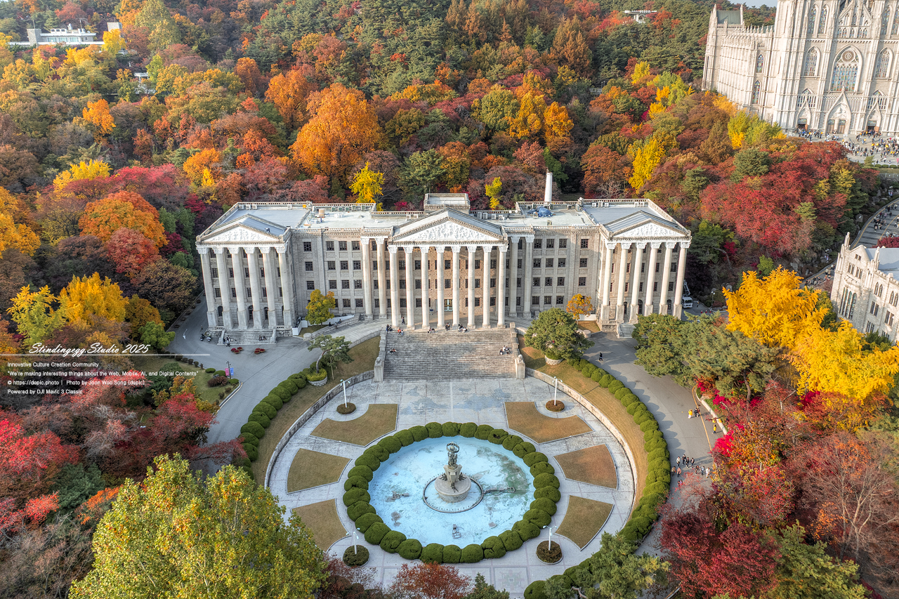 #서울 #경희대 #경희대학교 #단풍 #가을