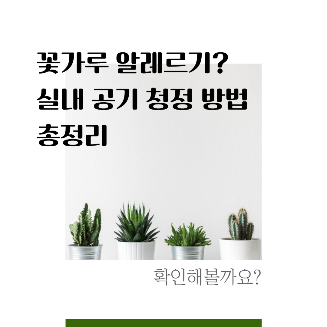 꽃가루 알레르기? 실내 공기 청정 방법 총정리
