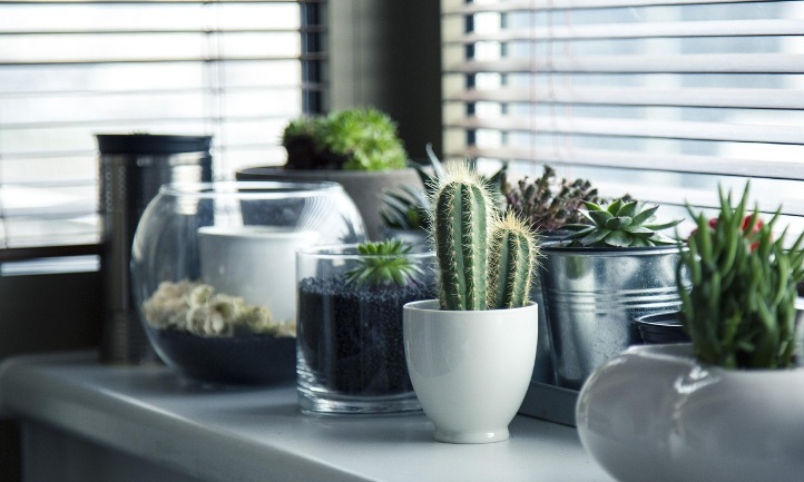 벽과 바닥의 경계가 위생 취약 지점이 되는 구조적 이유