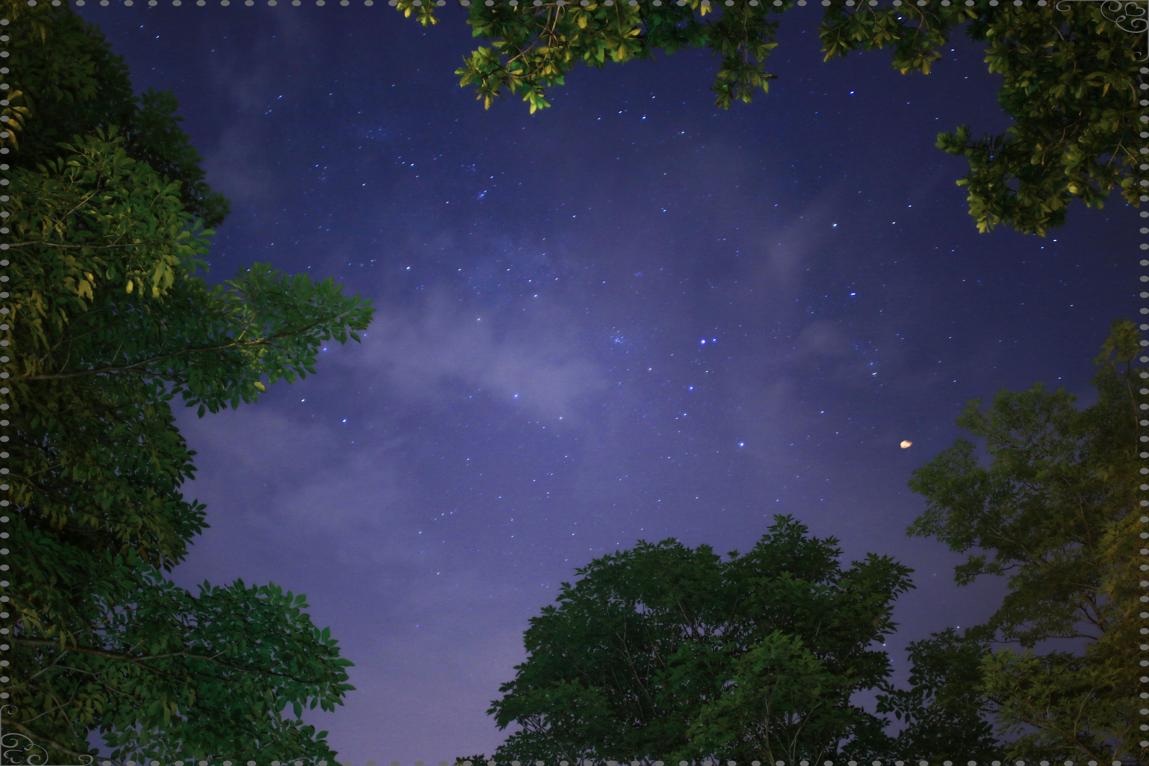🌌 2025년 쌍둥이자리 운세부터 오늘의 운세까지, 별자리와 꿈 해몽 가이드