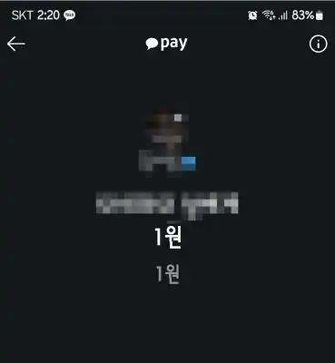 5단계: 메시지 송금 시도