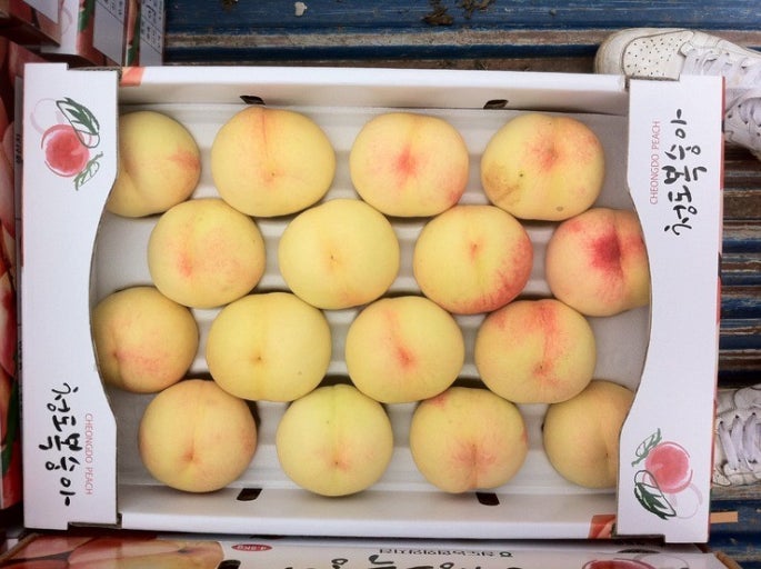 백도복숭아-고르는법-털유무