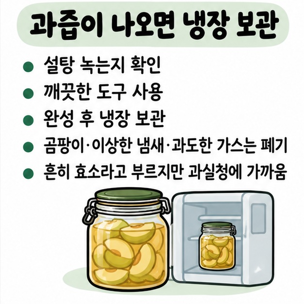 설탕이 녹고 과즙이 나온 뒤 냉장 보관하며 곰팡이와 이상한 냄새, 과도한 가스를 확인하는 체크리스트 카드