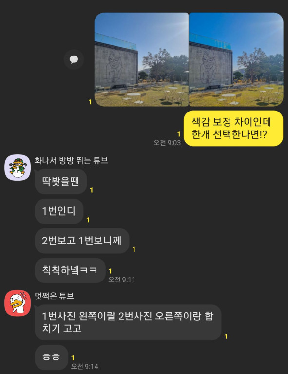 사진 비교 응답 6