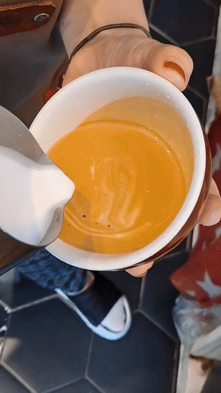 첫번째 로제타 움짤