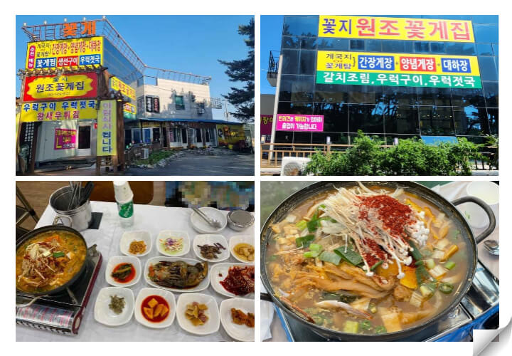 꽃지원조꽃게집