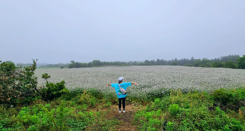 올레2코스 절경#1