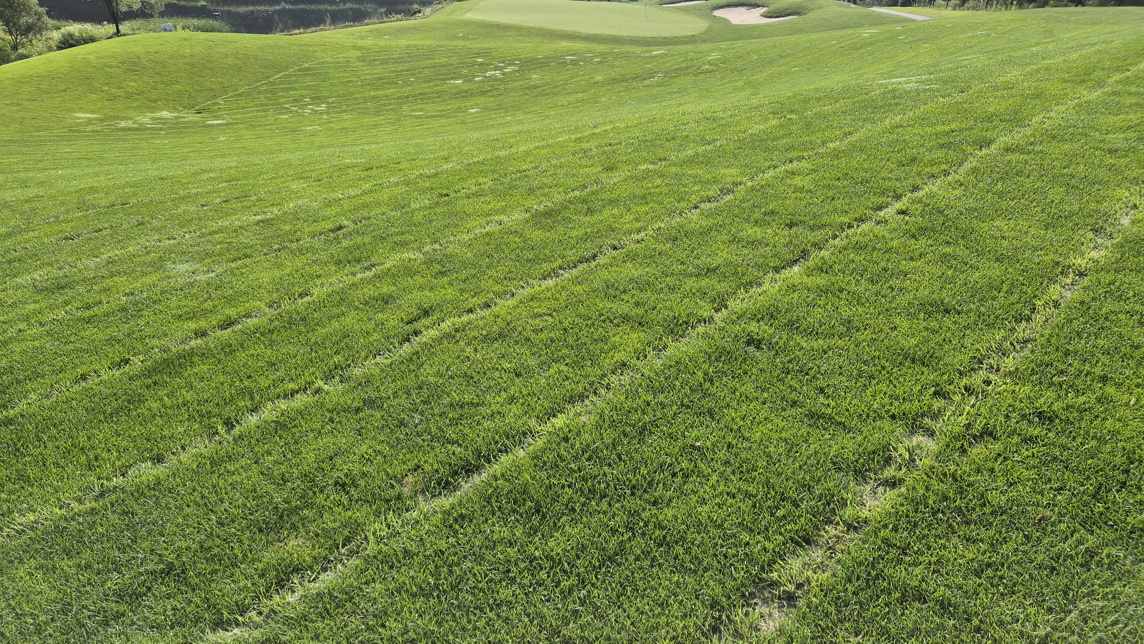 샤인데일cc 라운드 후기