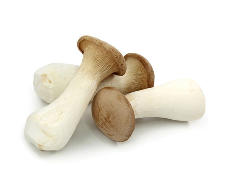 새송이버섯 영어로