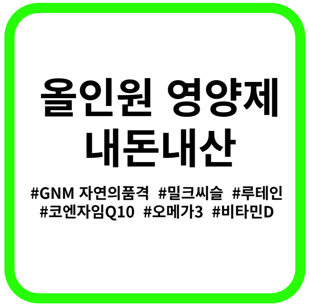 올인원영양제내돈내산