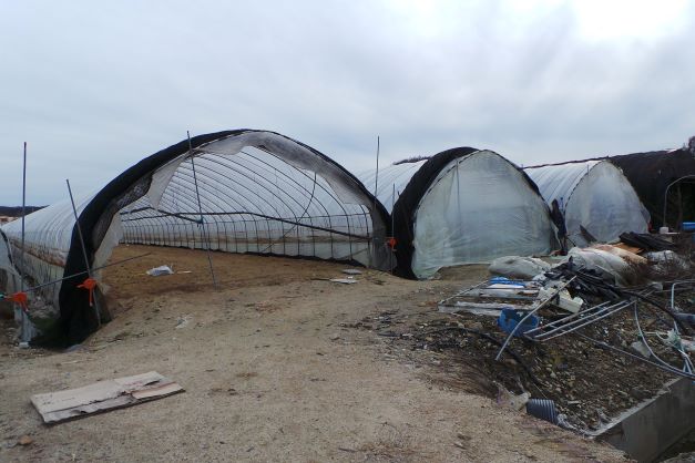 농원 비닐하우스