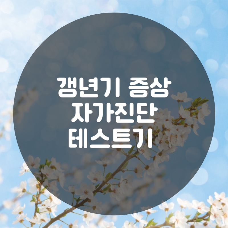 갱년기 증상 자가진단 테스트기 글자 이미지