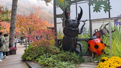 단풍명소_화담숲_자연생태관