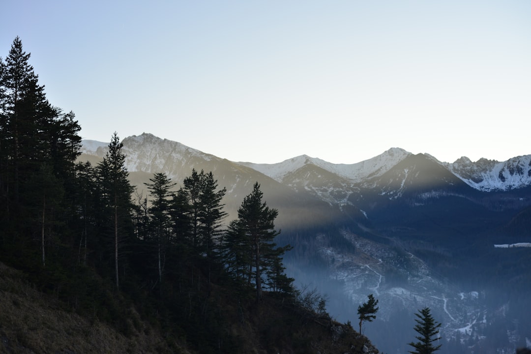 Mountain