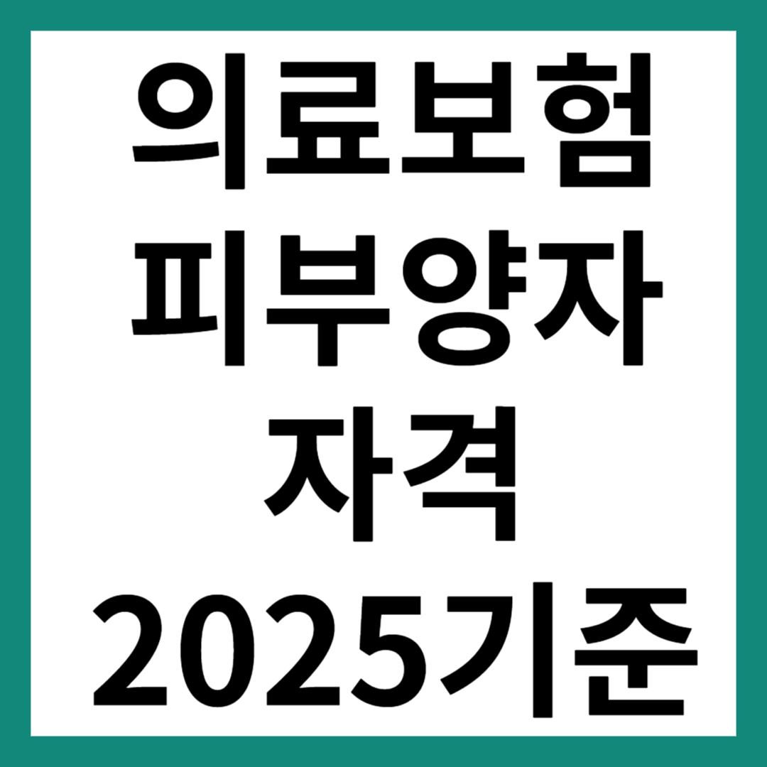 의료보험 피부양자 자격