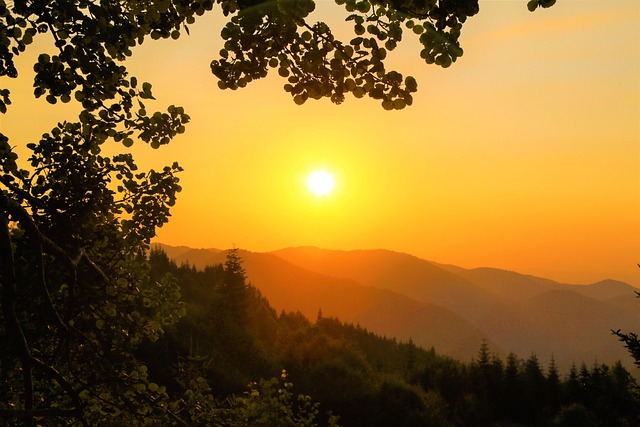 올여름, 템플스테이 대신 팜스테이! 자연 속 진정한 힐링을 찾아서 (III)🌿