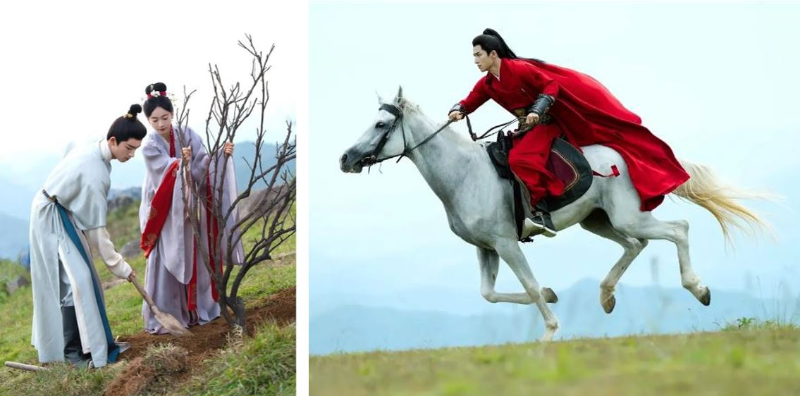 줄거리11