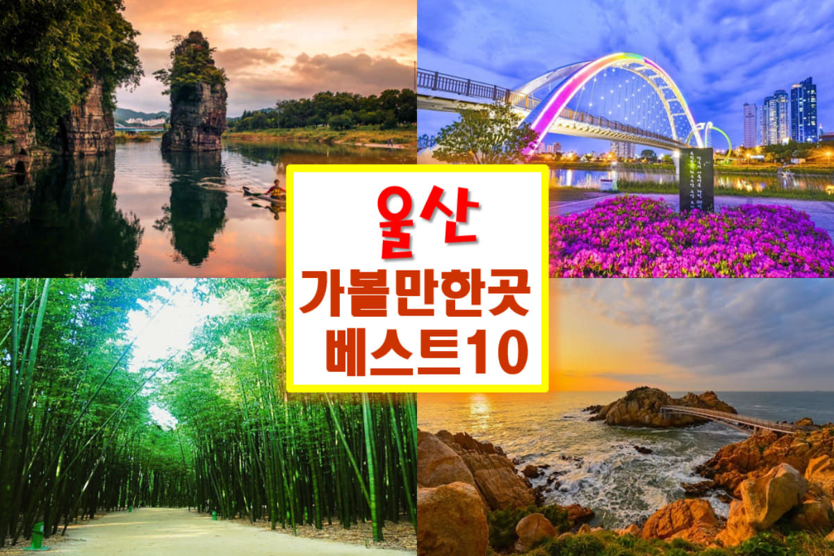 울산 가볼만한곳 베스트10