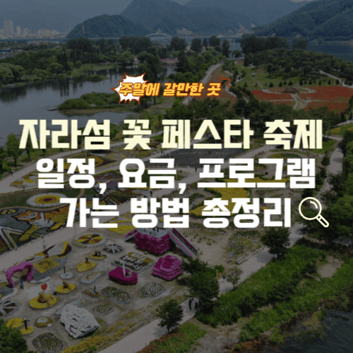 자라섬 꽃 페스타 축제 가는방법