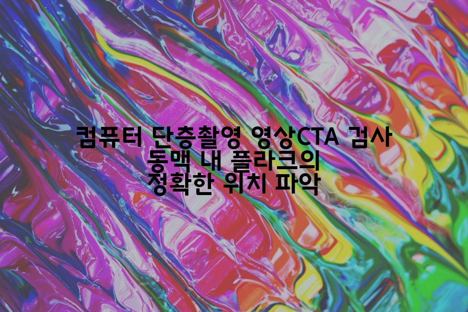 컴퓨터 단층촬영 영상CTA 검사 동맥 내 플라크의 정확한 위치 파악