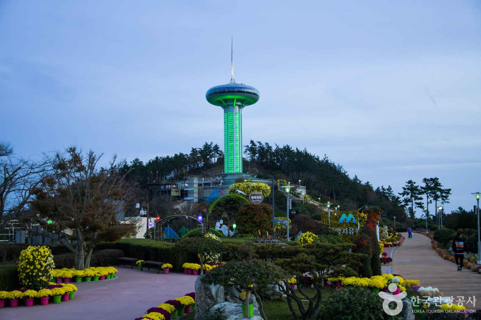 완도타워 전망대 야경