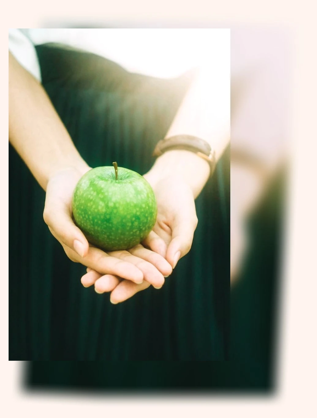 건강 도시락_3_subsection