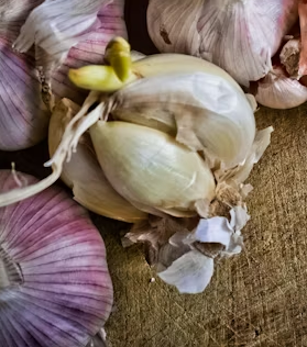 마늘 효능 효과 부작용 당뇨 혈관 건강