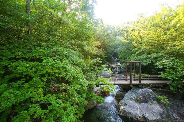 방태산 등산코스 안내 & 등산지도