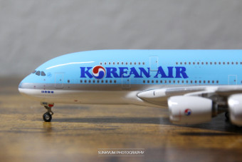 스마트패스항공사