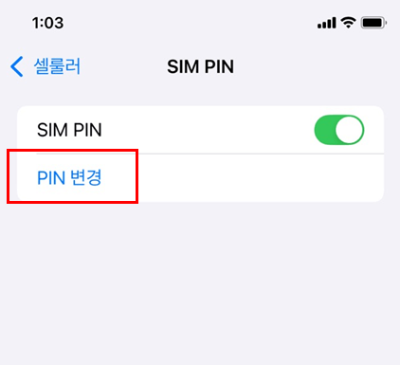 아이폰 SIM PIN 설정 - PIN 번호 변경