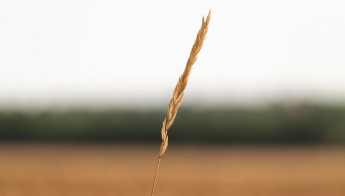 포항 불꽃축제 일정 2025년 14