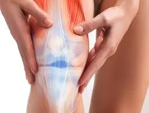 박지현 관절보궁 사용 내돈내산 솔직 후기