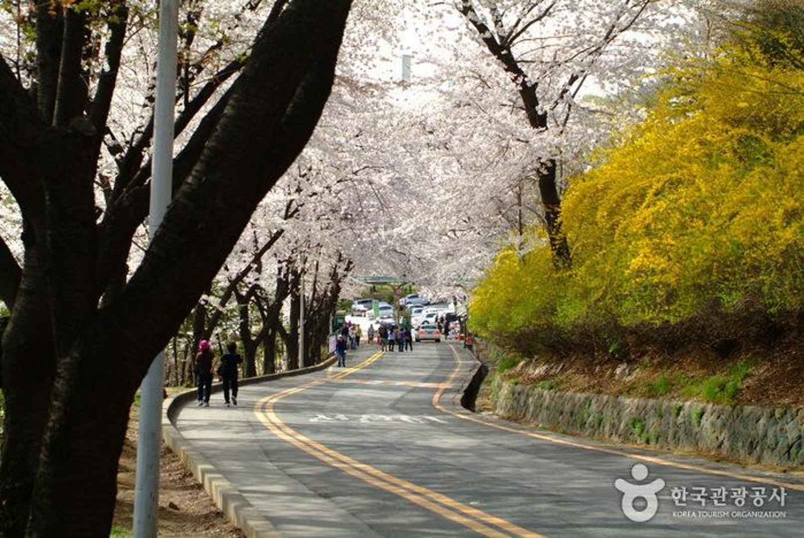남산공원