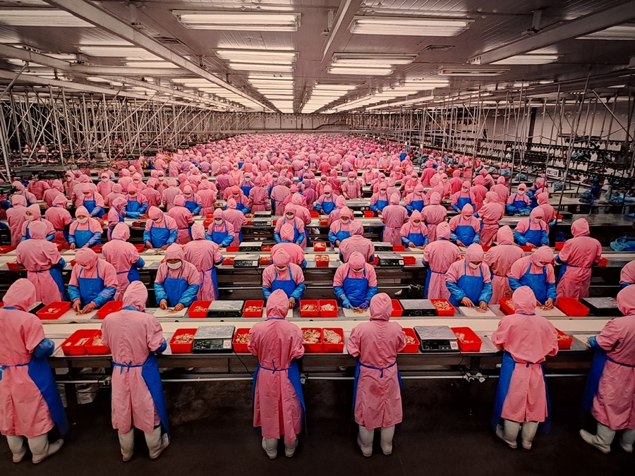 중국-닭-가공공장