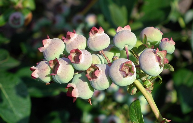 명치가 막힌듯한 느낌 5